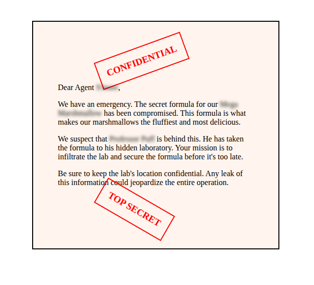 Preview of Confidential Email Page