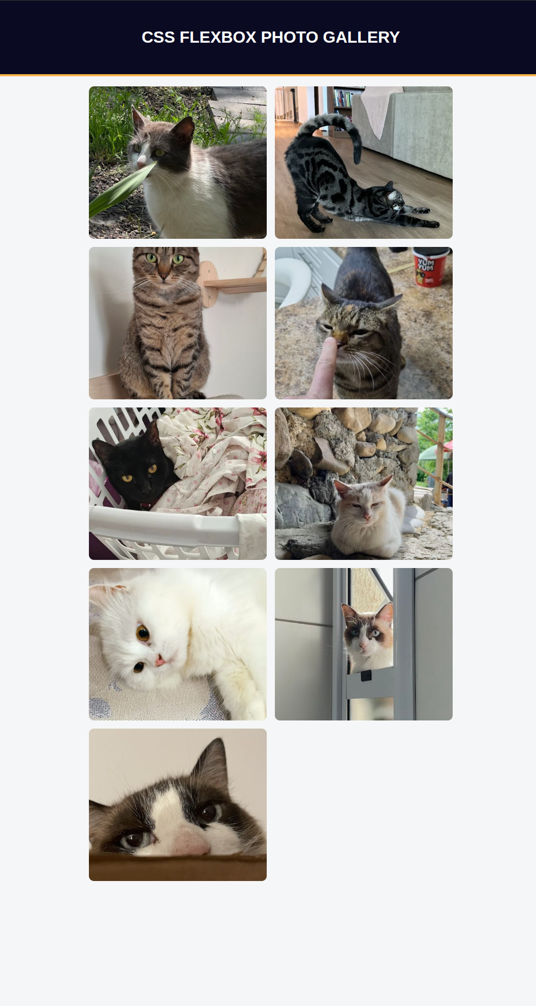 Preview of CSS Flexbox Photo Gallery