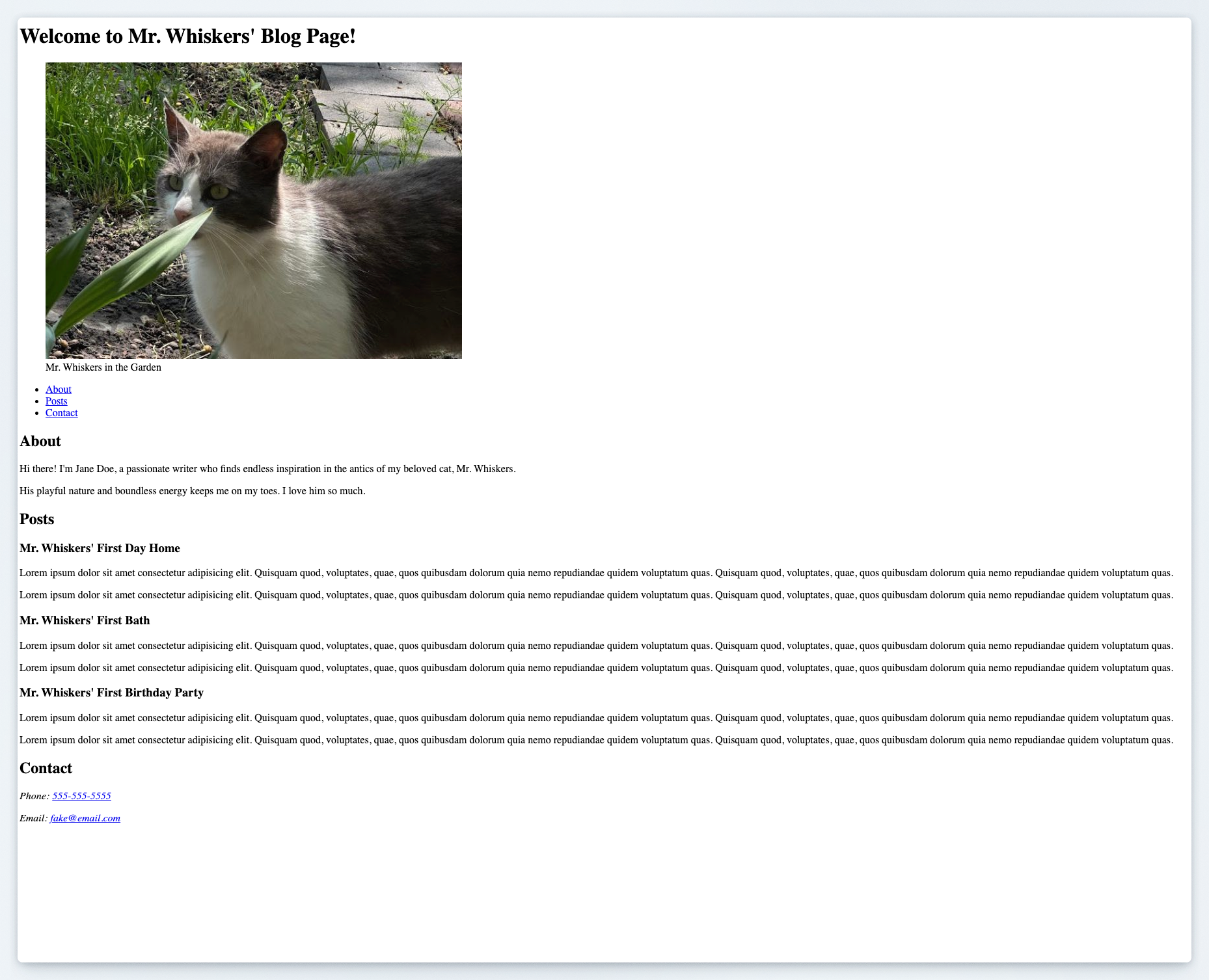 Preview of Mr. Whiskers' blog page